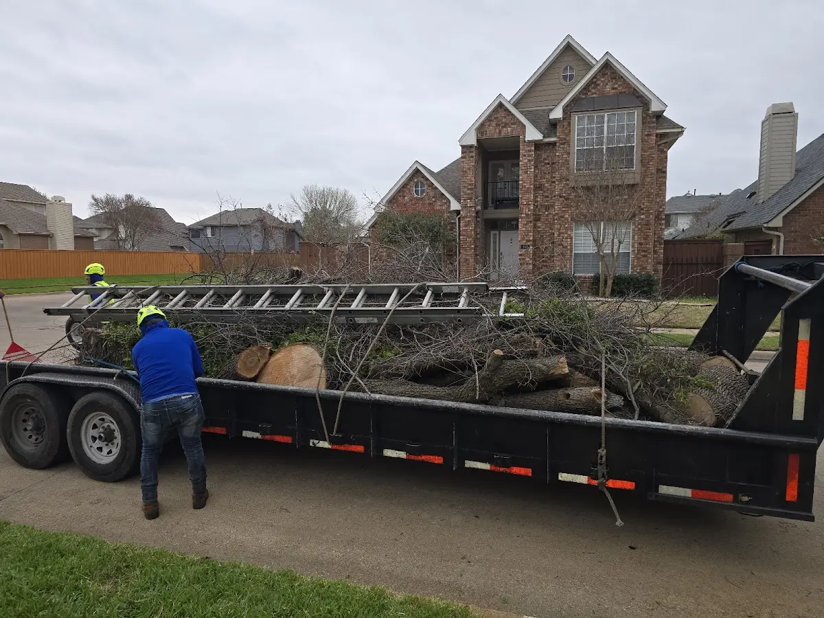 Expert Tree Fertilization with proper safety equipment in Coalport